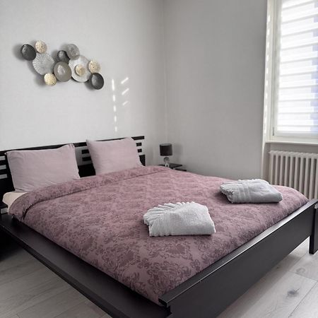 Appartement Des 3 Pays. 2 Mn De Bale+ Free Parking Saint-Louis  Exteriör bild