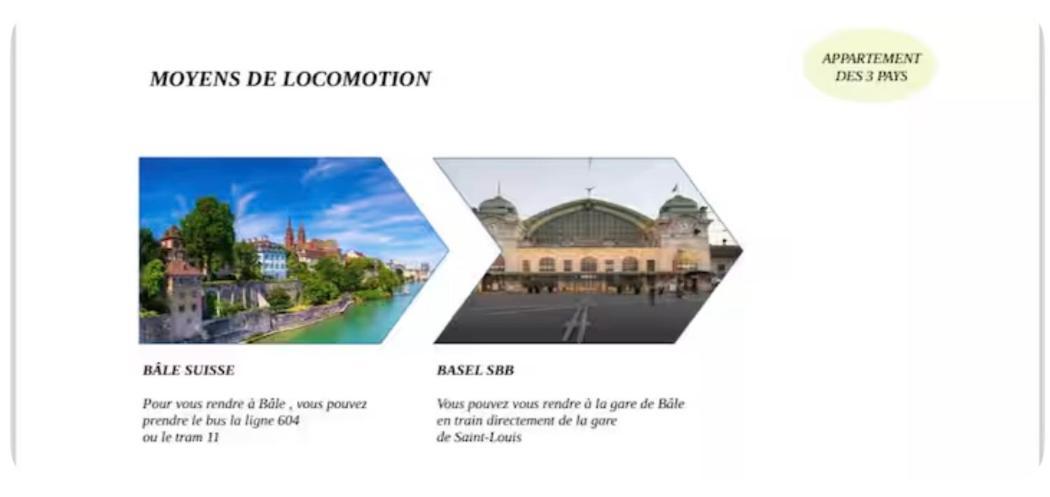 Appartement Des 3 Pays. 2 Mn De Bale+ Free Parking Saint-Louis  Exteriör bild