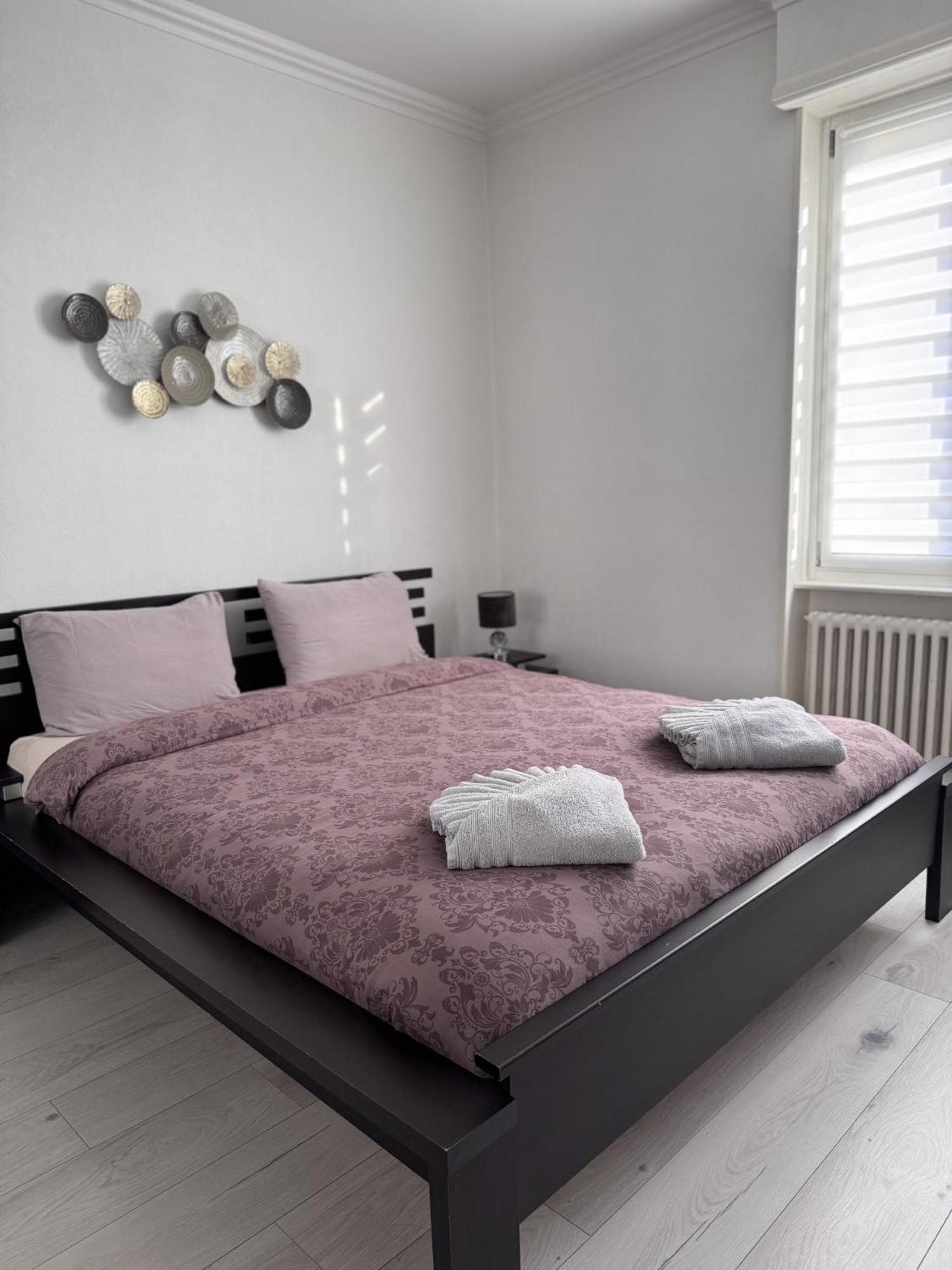 Appartement Des 3 Pays. 2 Mn De Bale+ Free Parking Saint-Louis  Exteriör bild